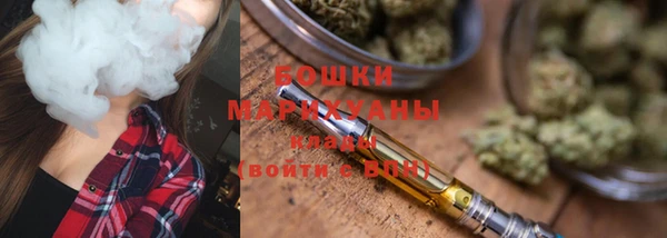 дурь Лабытнанги