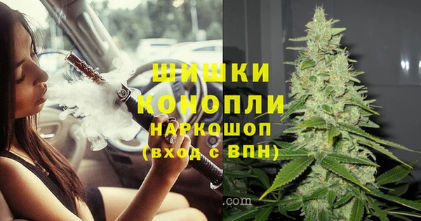 СК Нижневартовск