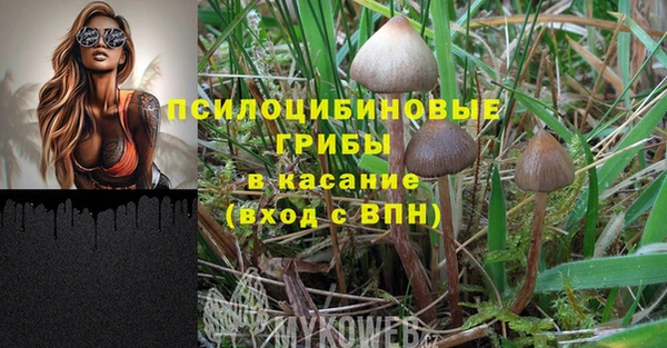 молекула духа Лагань