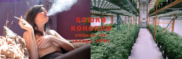 молекула духа Лагань