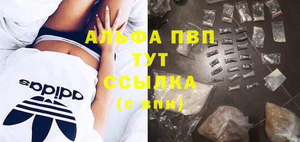 дурь Лабытнанги