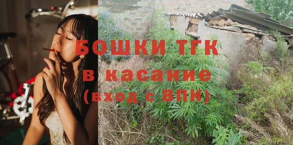 молекула духа Лагань