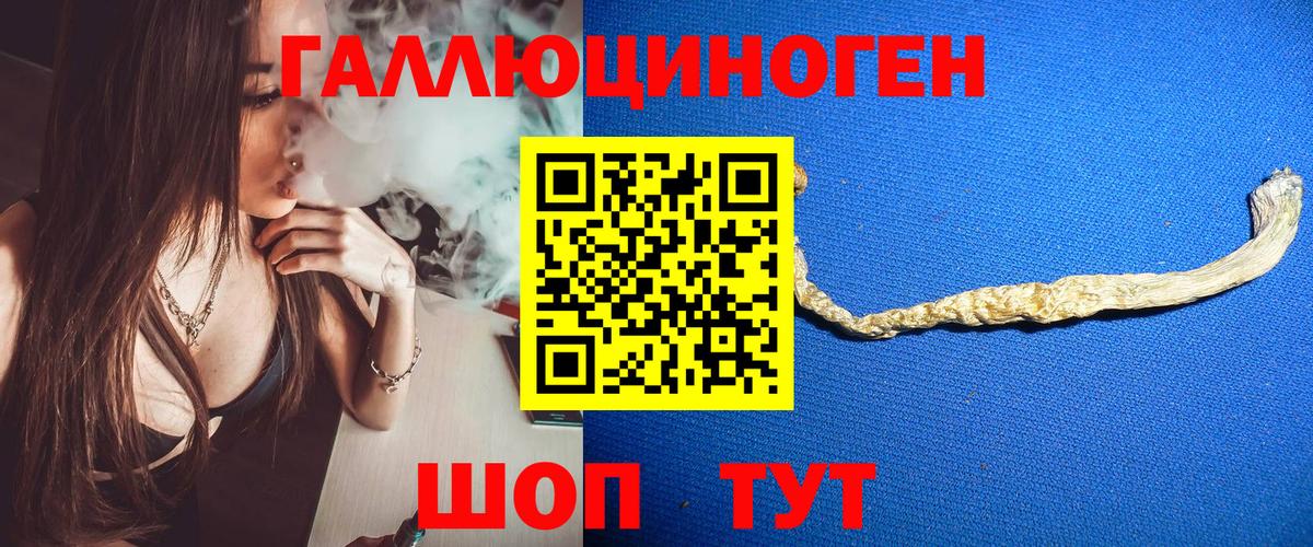 Галлюциногенные грибы мухоморы Чайковский