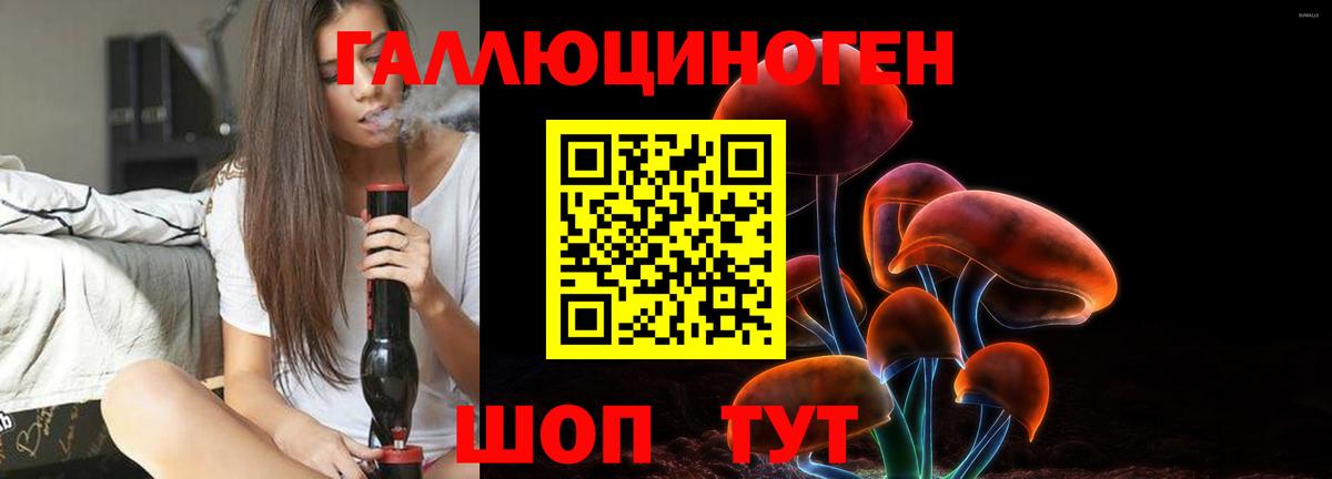 Галлюциногенные грибы Psilocybine cubensis  Чайковский  Галлюциногенные грибы прущие грибы 